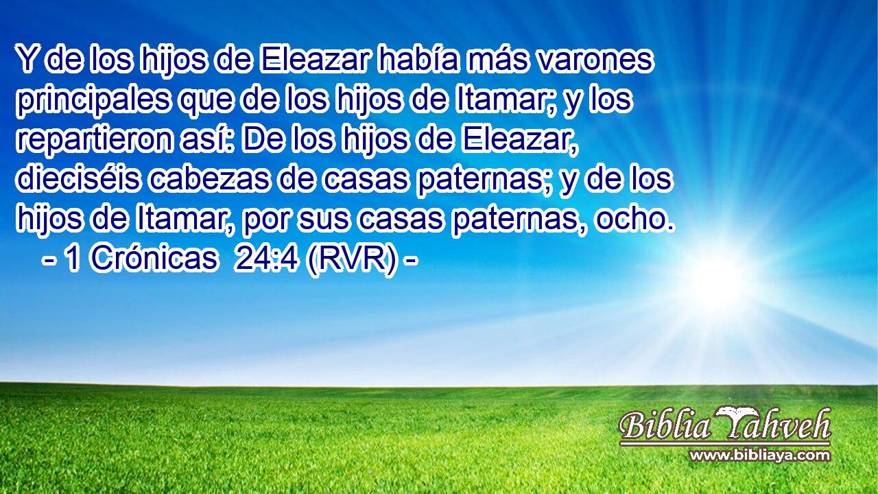 Y de los hijos de Eleazar había más varones principales que de los hijos de Itamar; y los repartieron así: De los hijos de Eleazar, dieciséis cabezas de casas paternas; y de los hijos de Itamar, por sus casas paternas, ocho.