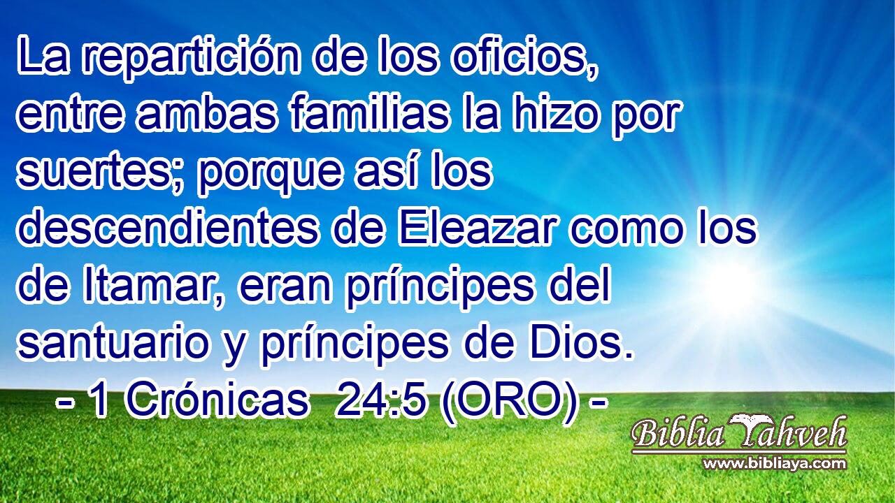  La repartición de los oficios, entre ambas familias la hizo por suertes; porque así los descendientes de Eleazar como los de Itamar, eran príncipes del santuario y príncipes de Dios. 