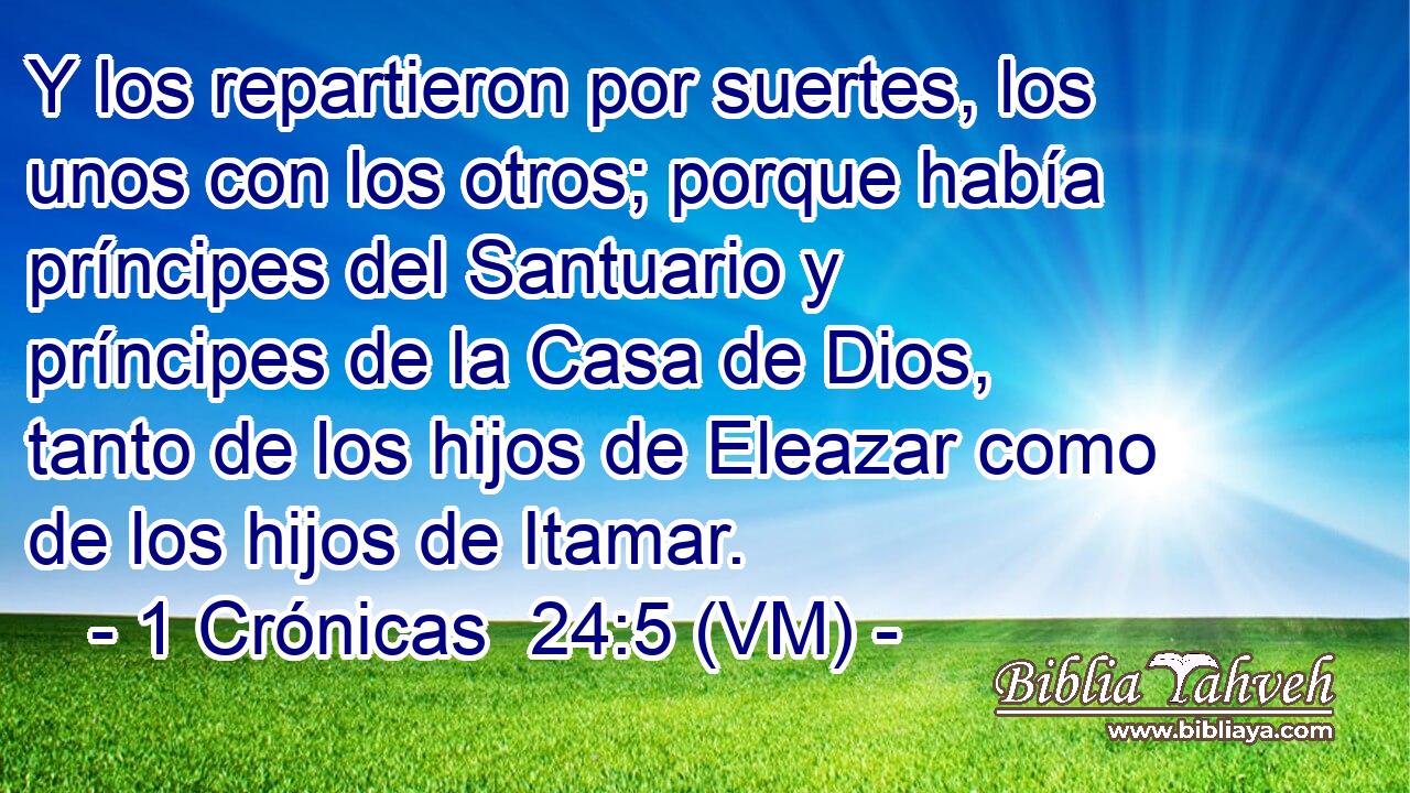  Y los repartieron por suertes, los unos con los otros; porque había príncipes del Santuario y príncipes de la Casa de Dios, tanto de los hijos de Eleazar como de los hijos de Itamar. 
