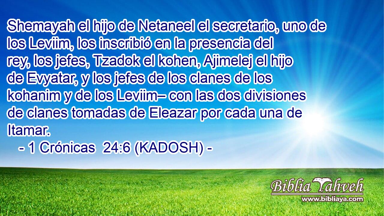  Shemayah el hijo de Netaneel el secretario, uno de los Leviim, los inscribió en la presencia del rey, los jefes, Tzadok el kohen, Ajimelej el hijo de Evyatar, y los jefes de los clanes de los kohanim y de los Leviim– con las dos divisiones de clanes tomadas de Eleazar por cada una de Itamar. 