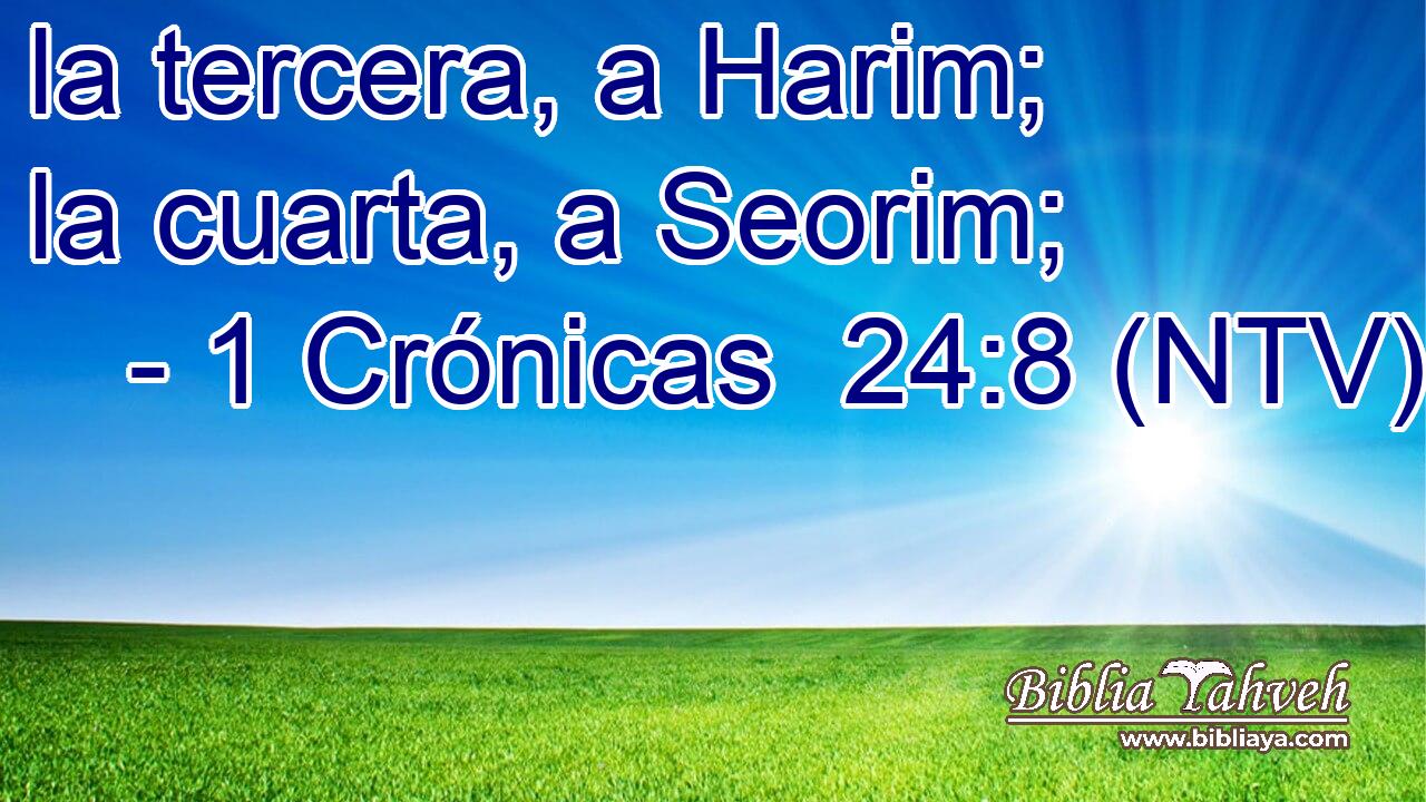 la tercera, a Harim; la cuarta, a Seorim;
