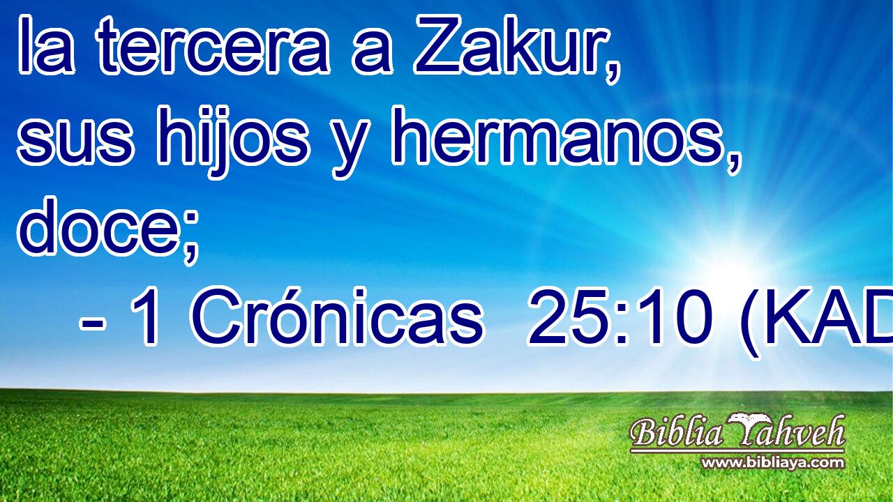  la tercera a Zakur, sus hijos y hermanos, doce; 