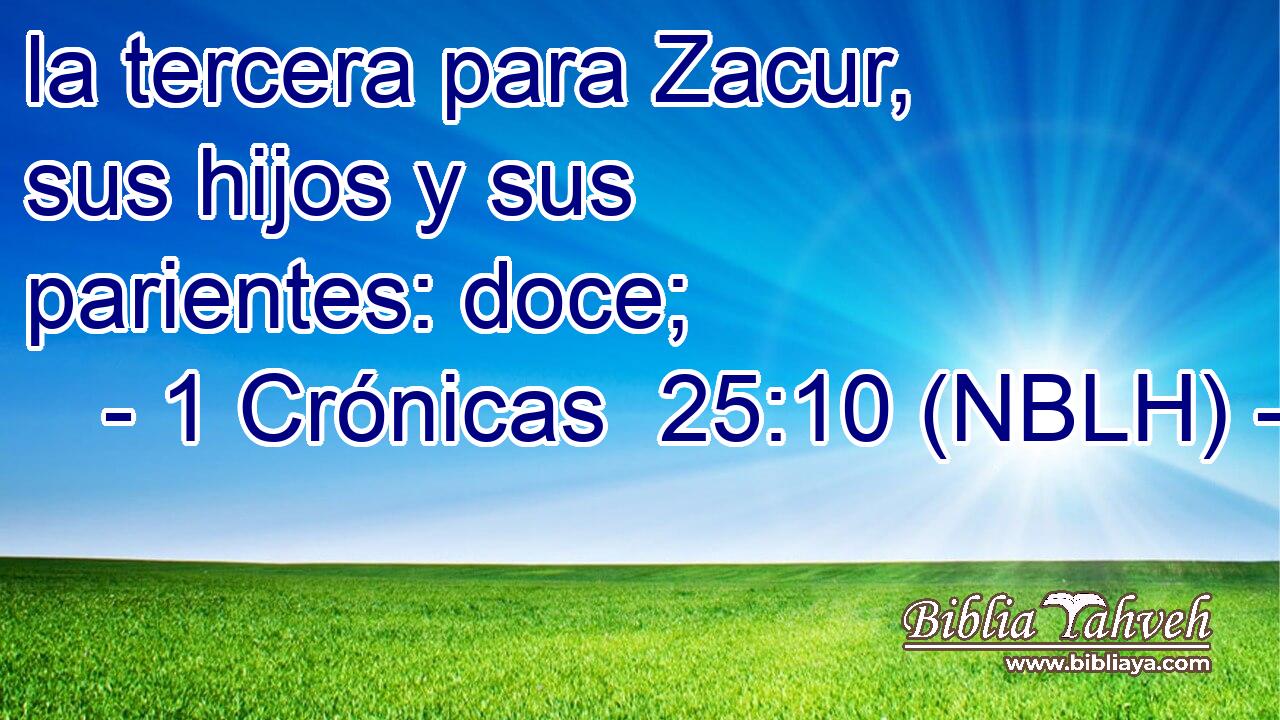  la tercera para Zacur, sus hijos y sus parientes: doce; 