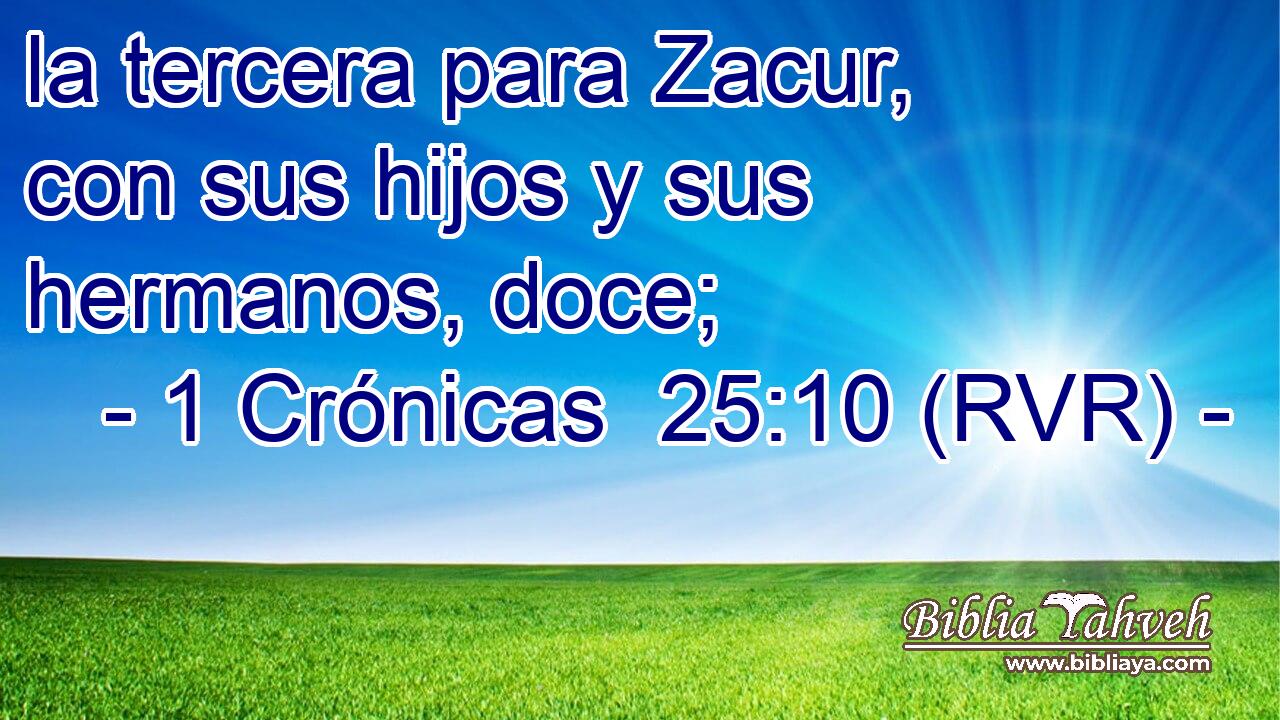 la tercera para Zacur, con sus hijos y sus hermanos, doce;