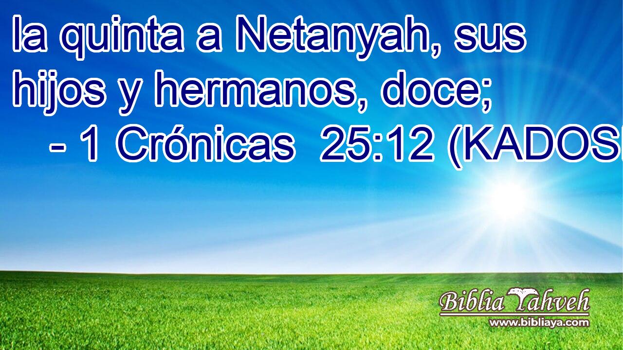 la quinta a Netanyah, sus hijos y hermanos, doce; 