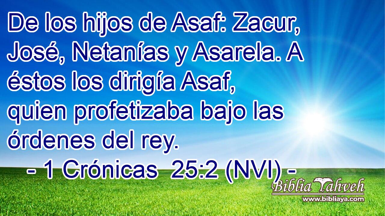  De los hijos de Asaf: Zacur, José, Netanías y Asarela. A éstos los dirigía Asaf, quien profetizaba bajo las órdenes del rey. 