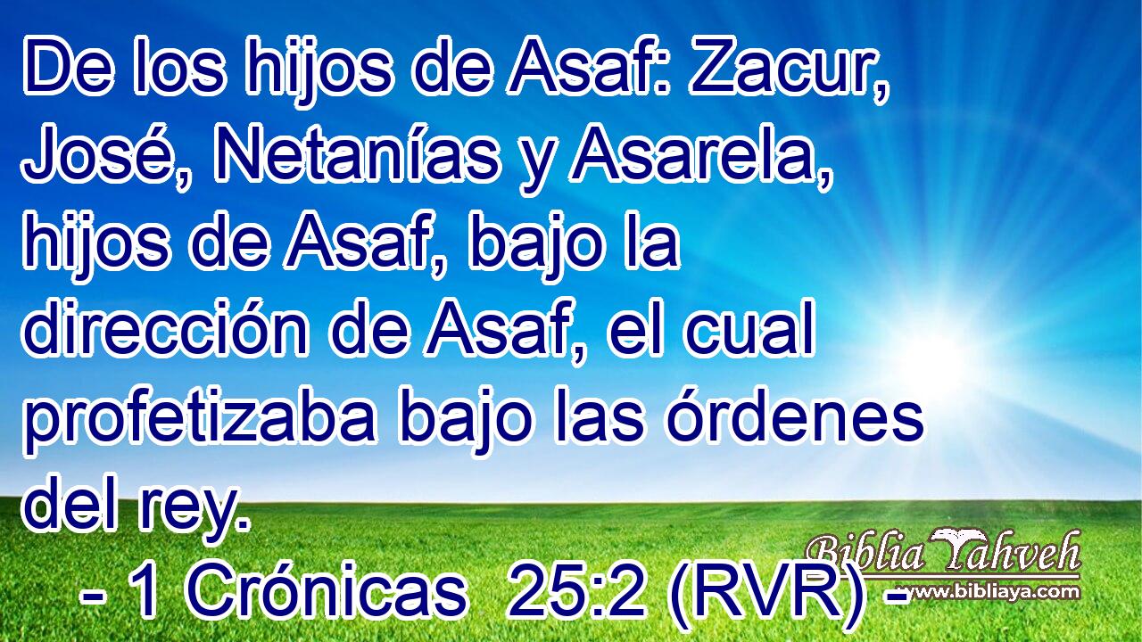 De los hijos de Asaf: Zacur, José, Netanías y Asarela, hijos de Asaf, bajo la dirección de Asaf, el cual profetizaba bajo las órdenes del rey.