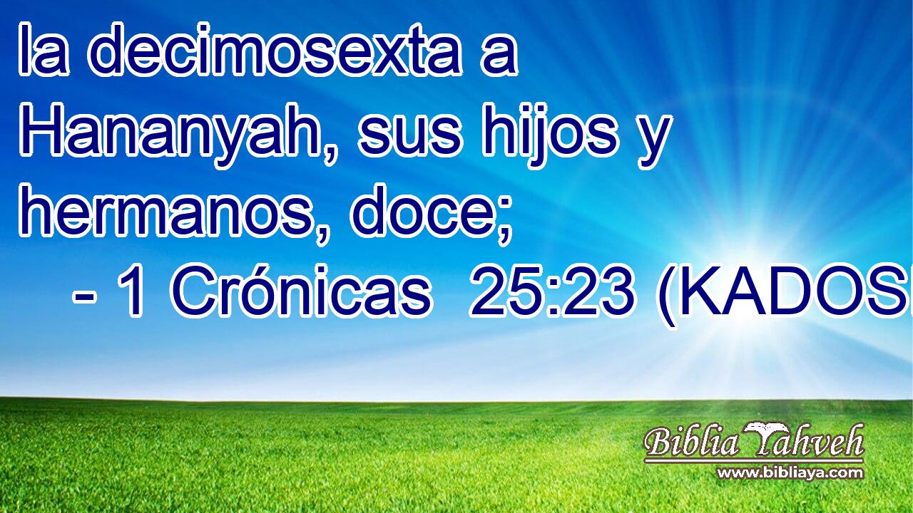  la decimosexta a Hananyah, sus hijos y hermanos, doce; 