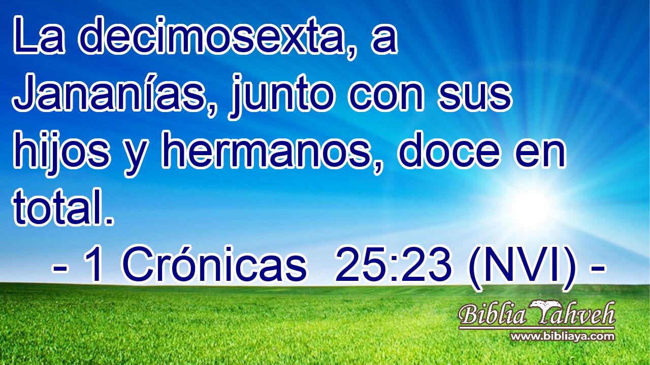 La decimosexta, a Jananías, junto con sus hijos y hermanos, doce en total. 