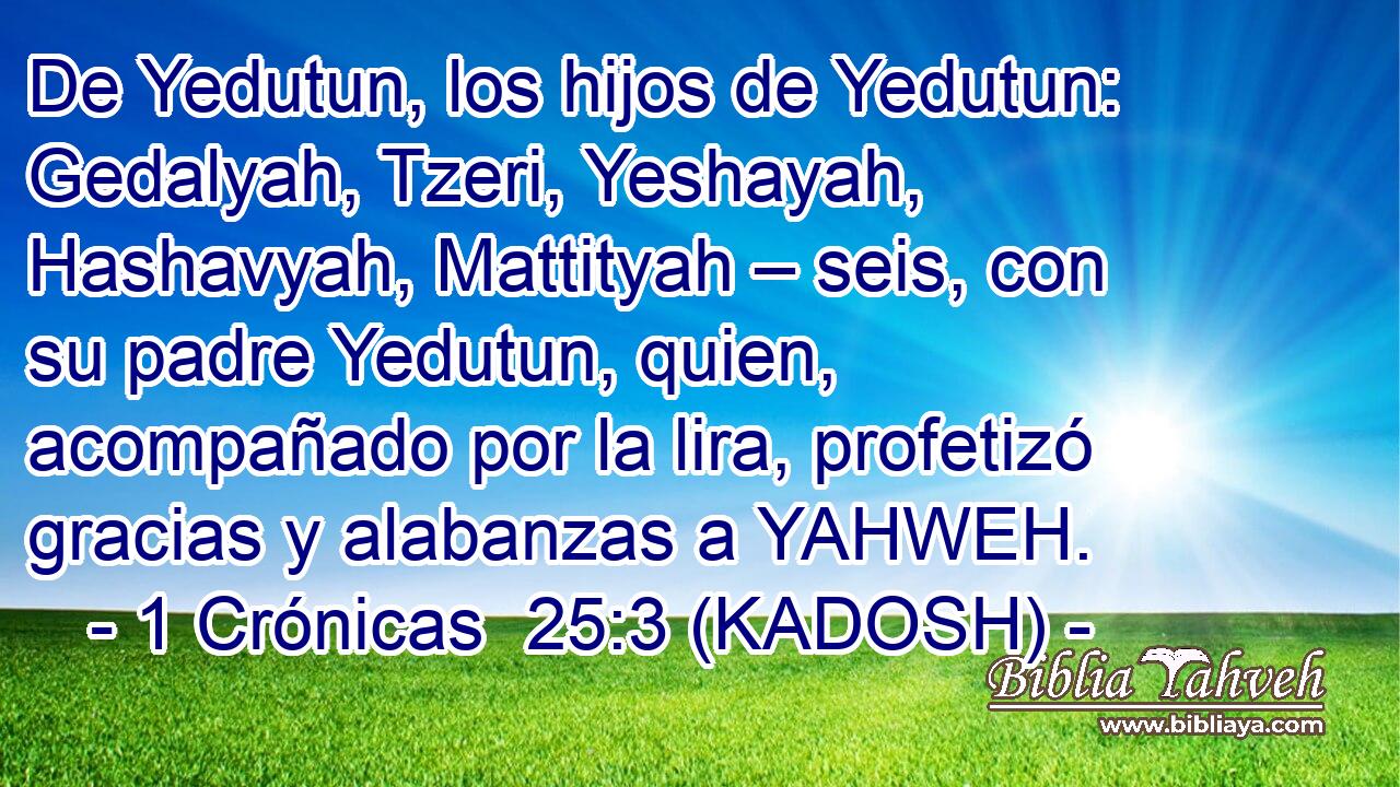  De Yedutun, los hijos de Yedutun: Gedalyah, Tzeri, Yeshayah, Hashavyah, Mattityah – seis, con su padre Yedutun, quien, acompañado por la lira, profetizó gracias y alabanzas a YAHWEH. 