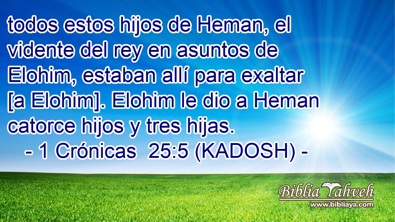  todos estos hijos de Heman, el vidente del rey en asuntos de Elohim, estaban allí para exaltar [a Elohim]. Elohim le dio a Heman catorce hijos y tres hijas. 