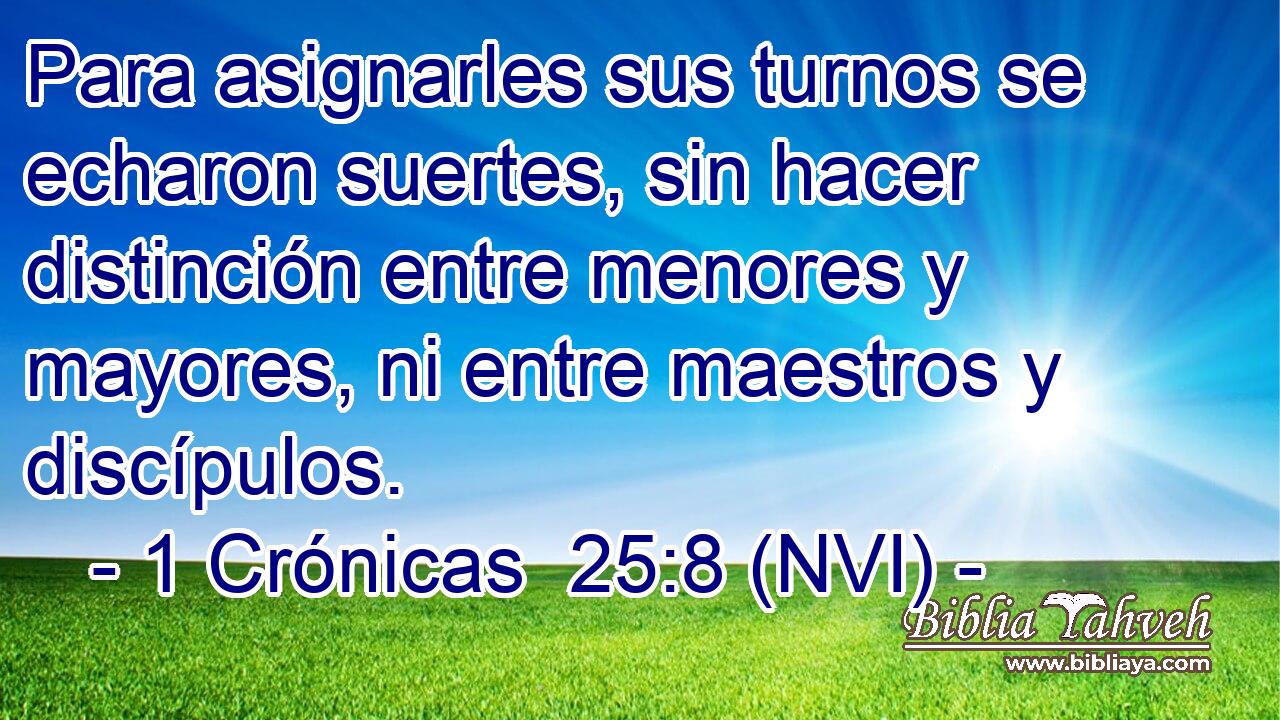  Para asignarles sus turnos se echaron suertes, sin hacer distinción entre menores y mayores, ni entre maestros y discípulos. 