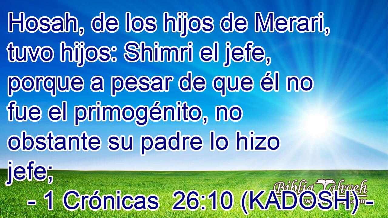  Hosah, de los hijos de Merari, tuvo hijos: Shimri el jefe, porque a pesar de que él no fue el primogénito, no obstante su padre lo hizo jefe; 