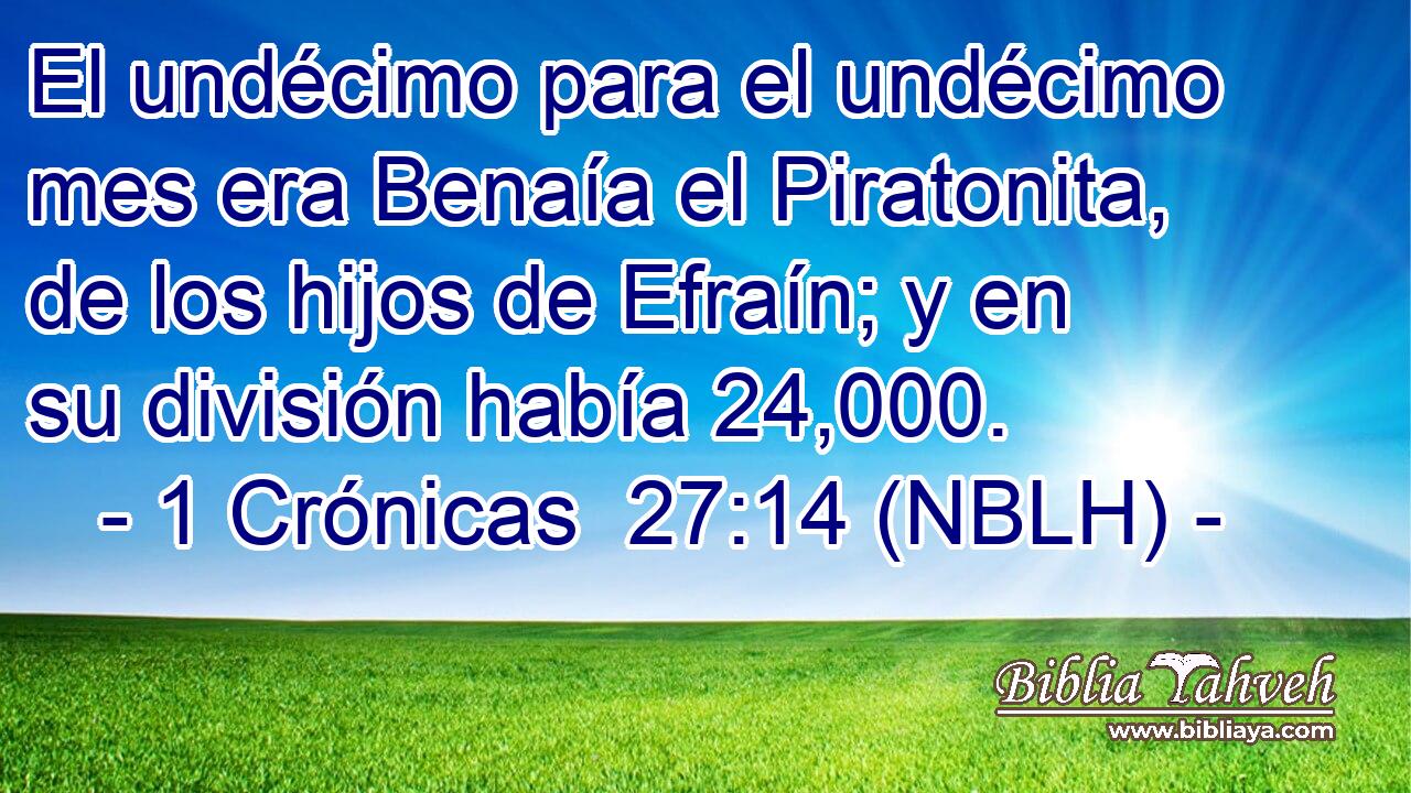  El undécimo para el undécimo mes era Benaía el Piratonita, de los hijos de Efraín; y en su división había 24,000. 