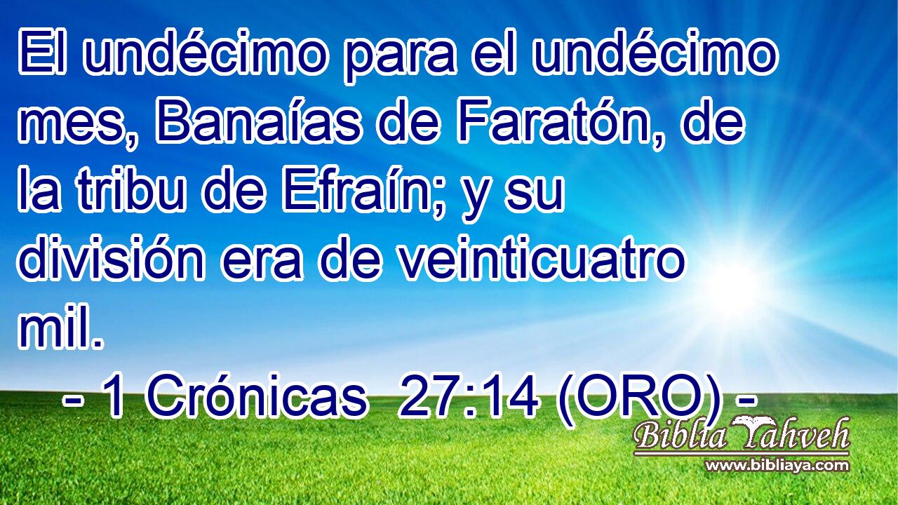  El undécimo para el undécimo mes, Banaías de Faratón, de la tribu de Efraín; y su división era de veinticuatro mil. 