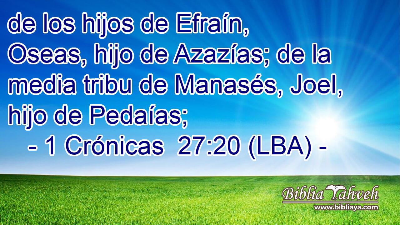 de los hijos de Efraín, Oseas, hijo de Azazías; de la media tribu de Manasés, Joel, hijo de Pedaías;