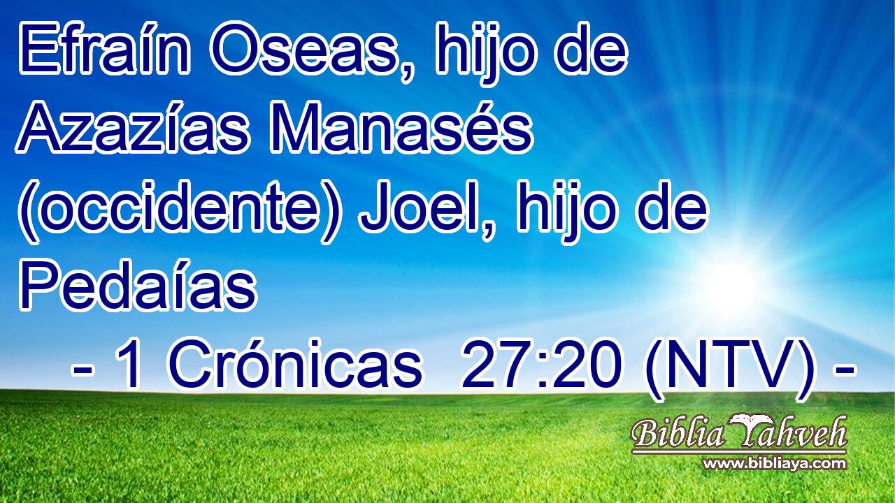 Efraín Oseas, hijo de Azazías Manasés (occidente) Joel, hijo de Pedaías