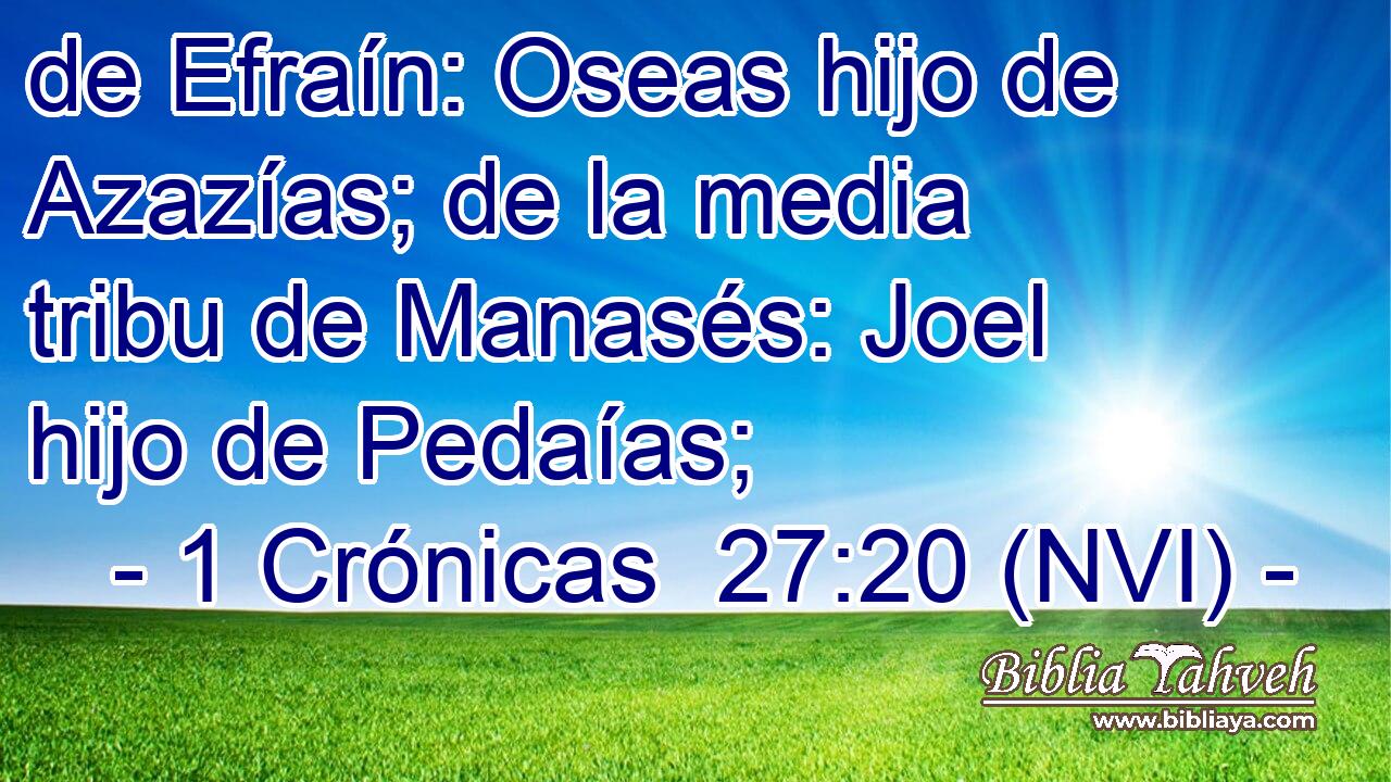  de Efraín: Oseas hijo de Azazías; de la media tribu de Manasés: Joel hijo de Pedaías; 