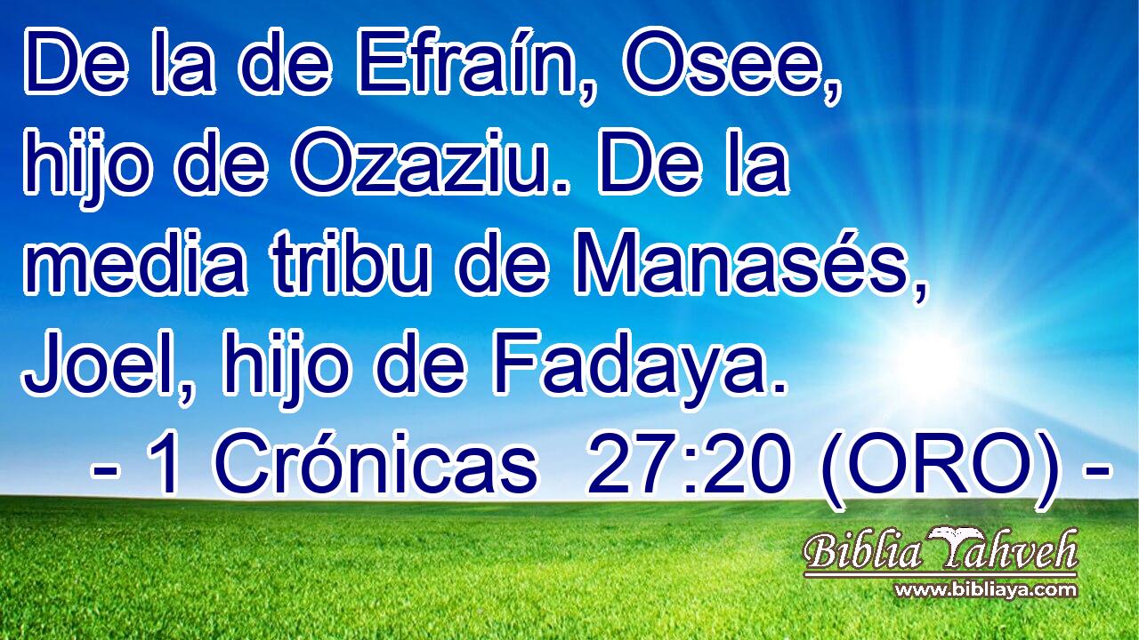  De la de Efraín, Osee, hijo de Ozaziu. De la media tribu de Manasés, Joel, hijo de Fadaya. 