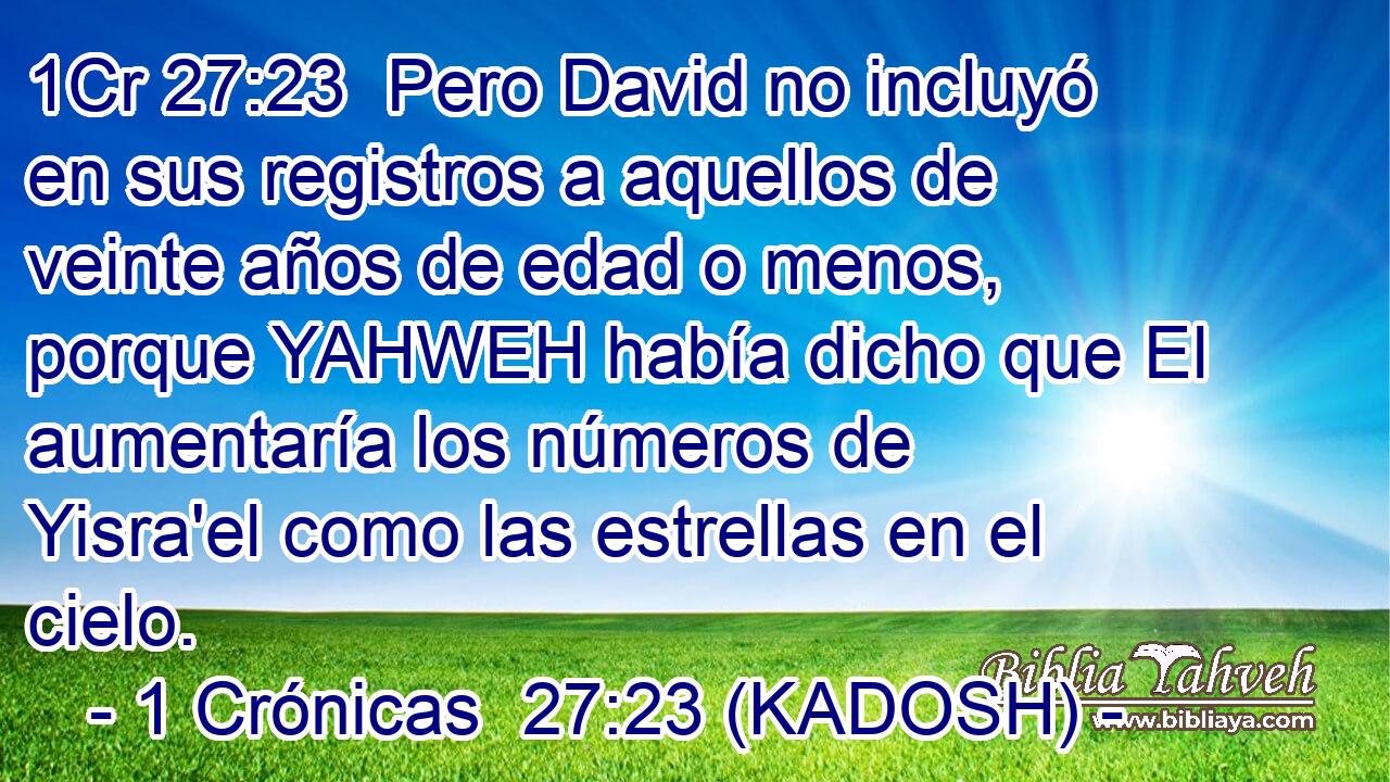  Pero David no incluyó en sus registros a aquellos de veinte años de edad o menos, porque YAHWEH había dicho que El aumentaría los números de Yisra'el como las estrellas en el cielo. 