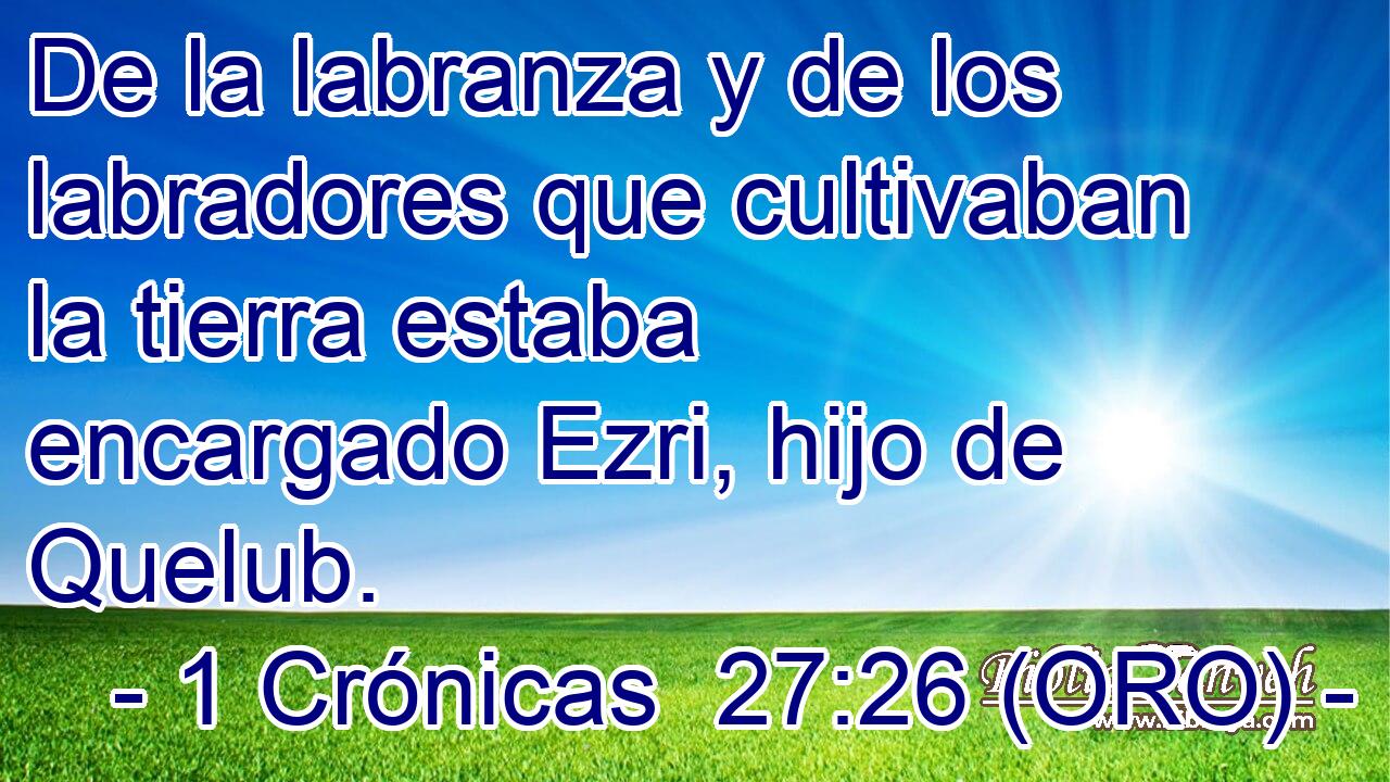  De la labranza y de los labradores que cultivaban la tierra estaba encargado Ezri, hijo de Quelub. 