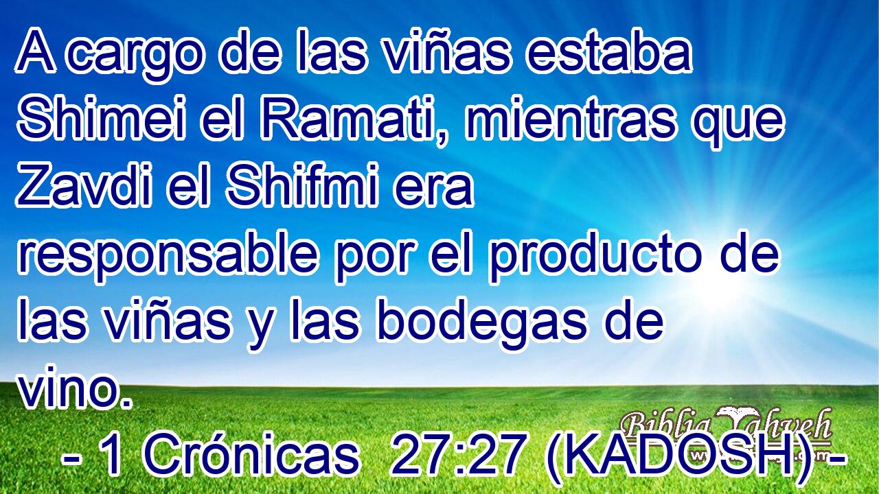  A cargo de las viñas estaba Shimei el Ramati, mientras que Zavdi el Shifmi era responsable por el producto de las viñas y las bodegas de vino. 