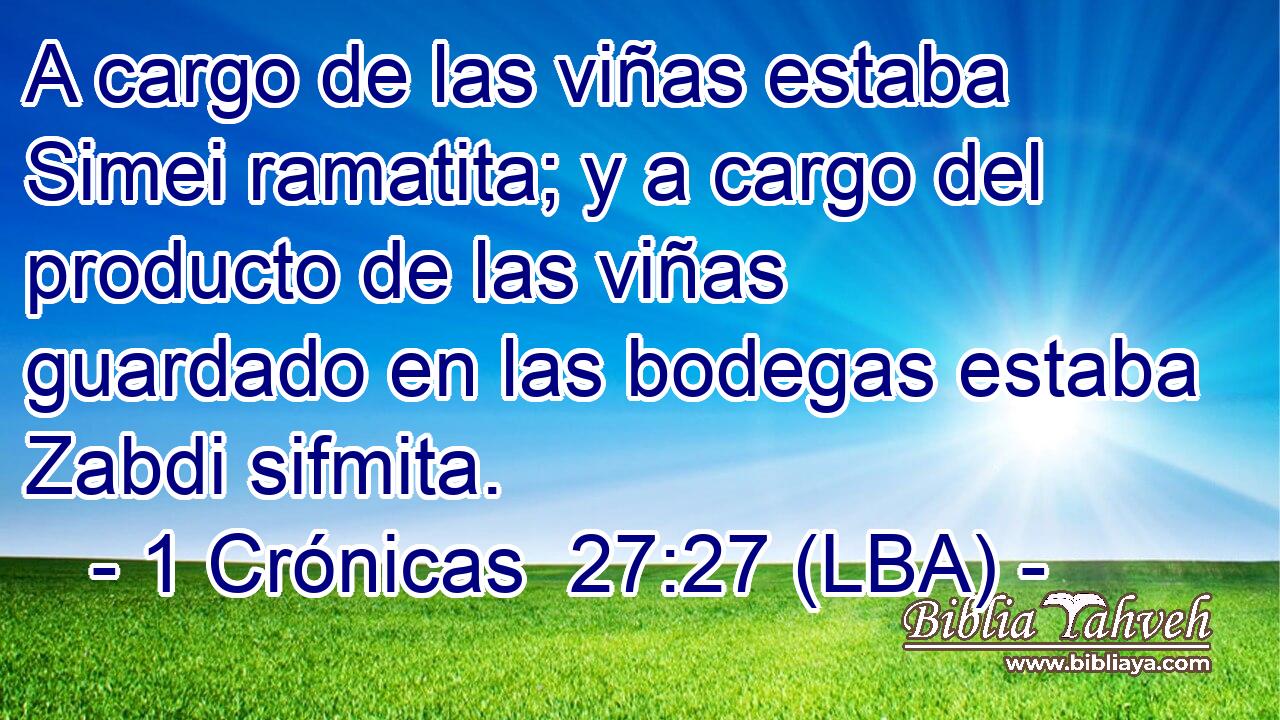 A cargo de las viñas estaba Simei ramatita; y a cargo del producto de las viñas guardado en las bodegas estaba Zabdi sifmita.