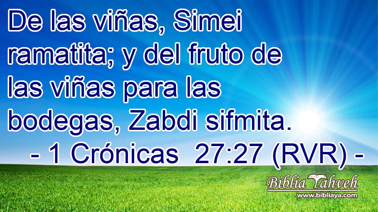 De las viñas, Simei ramatita; y del fruto de las viñas para las bodegas, Zabdi sifmita.