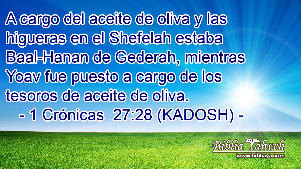  A cargo del aceite de oliva y las higueras en el Shefelah estaba Baal-Hanan de Gederah, mientras Yoav fue puesto a cargo de los tesoros de aceite de oliva. 