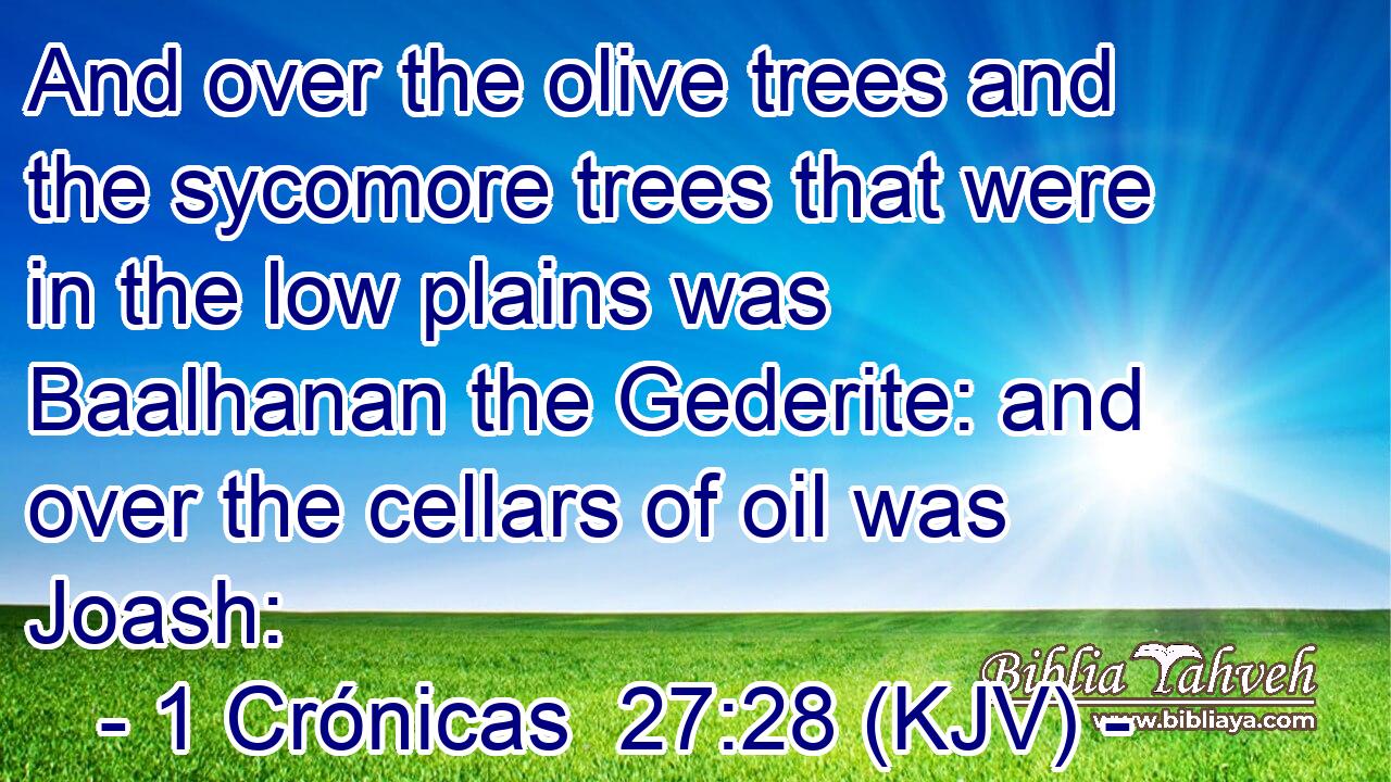 And over the olive trees and the sycomore trees that were in the low plains was Baalhanan the Gederite: and over the cellars of oil was Joash: