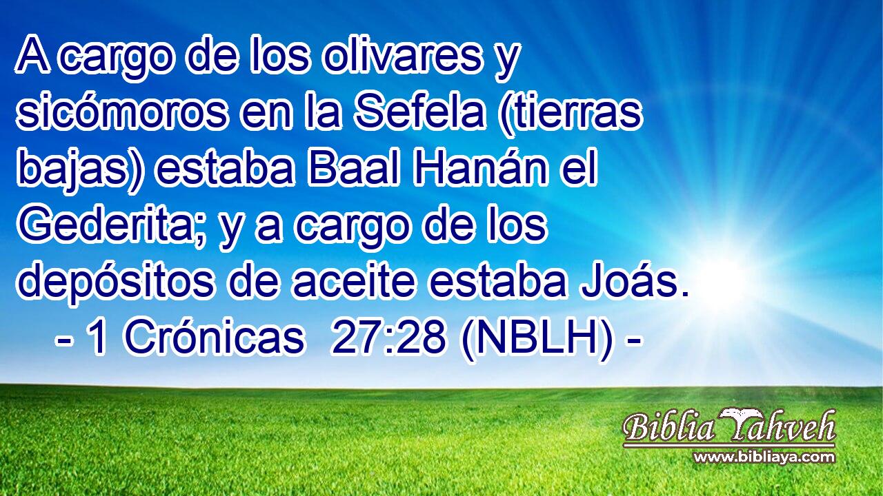  A cargo de los olivares y sicómoros en la Sefela (tierras bajas) estaba Baal Hanán el Gederita; y a cargo de los depósitos de aceite estaba Joás. 