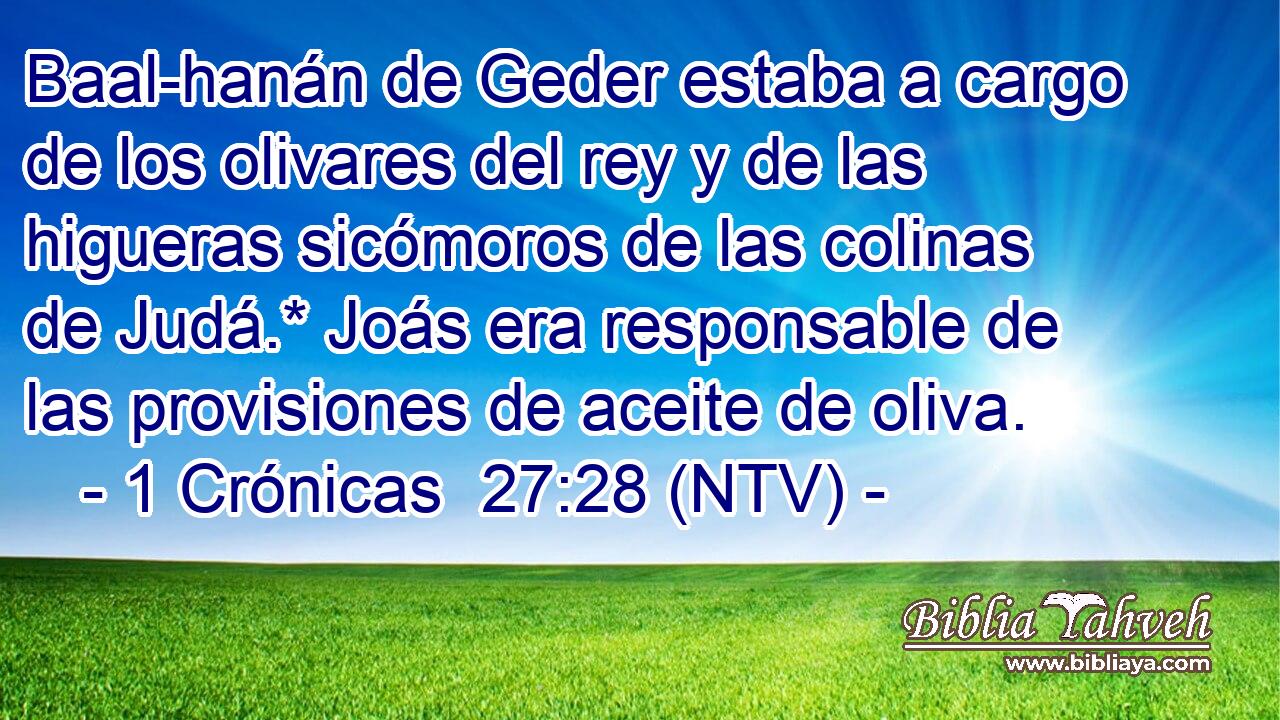 Baal-hanán de Geder estaba a cargo de los olivares del rey y de las higueras sicómoros de las colinas de Judá.* Joás era responsable de las provisiones de aceite de oliva.
