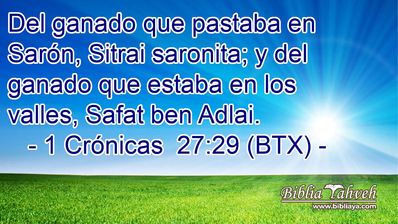 Del ganado que pastaba en Sarón, Sitrai saronita; y del ganado que estaba en los valles, Safat ben Adlai.
