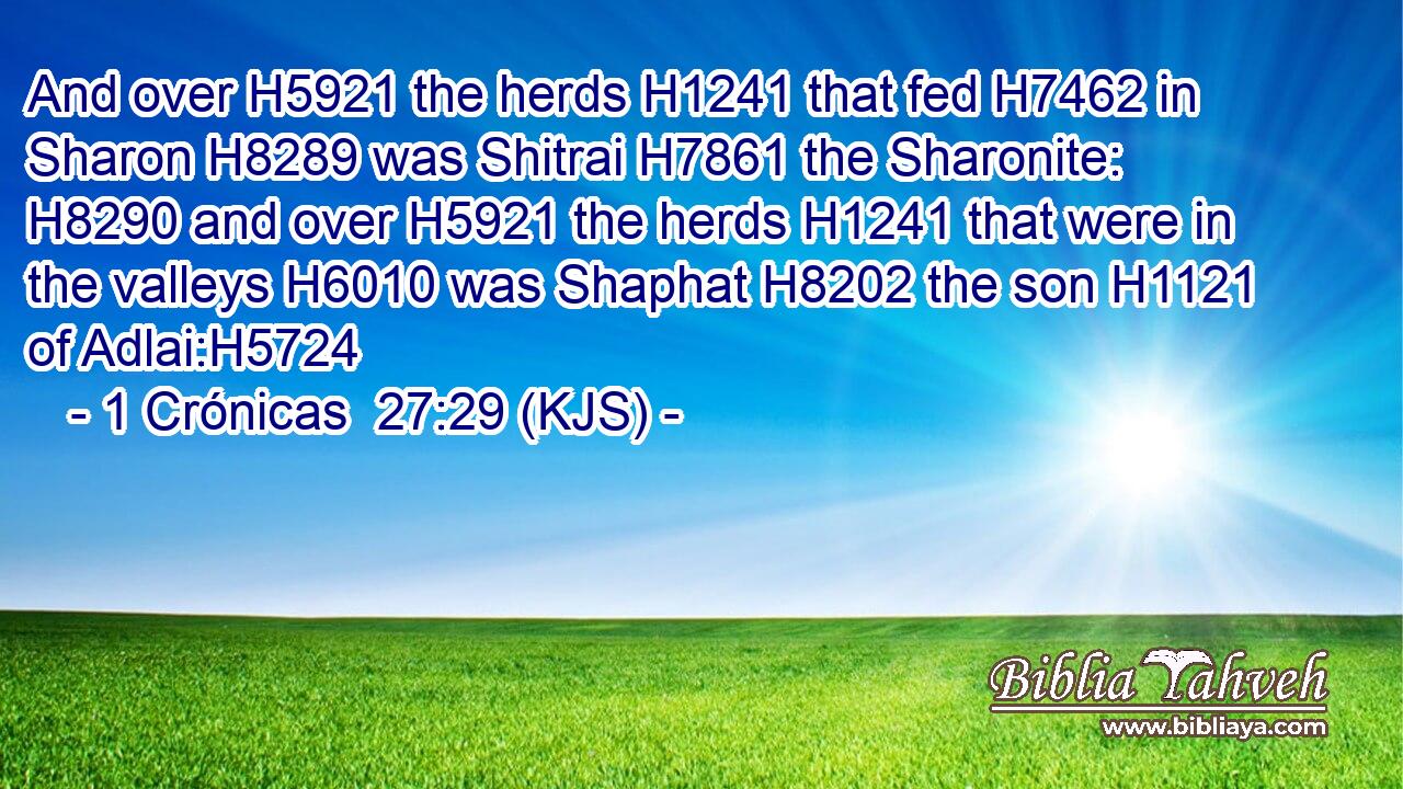 And over H5921 the herds H1241 that fed H7462 in Sharon H8289 was Shitrai H7861 the Sharonite: H8290 and over H5921 the herds H1241 that were in the valleys H6010 was Shaphat H8202 the son H1121 of Adlai:H5724