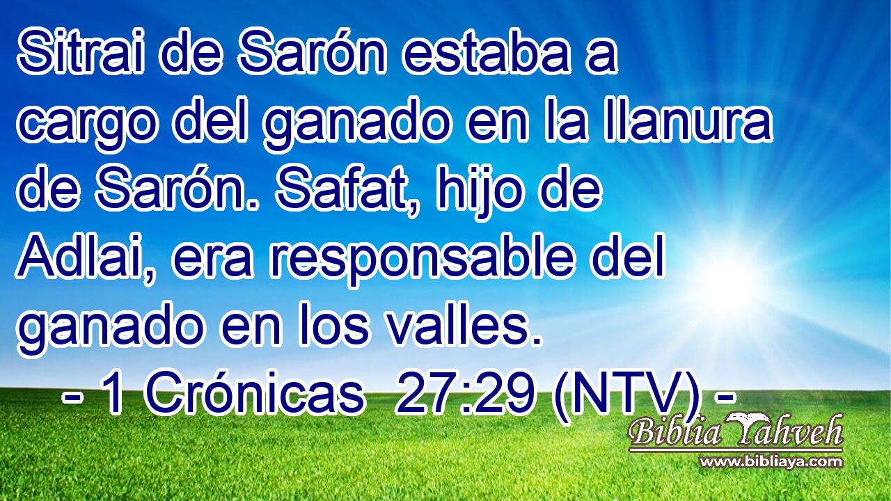 Sitrai de Sarón estaba a cargo del ganado en la llanura de Sarón. Safat, hijo de Adlai, era responsable del ganado en los valles.