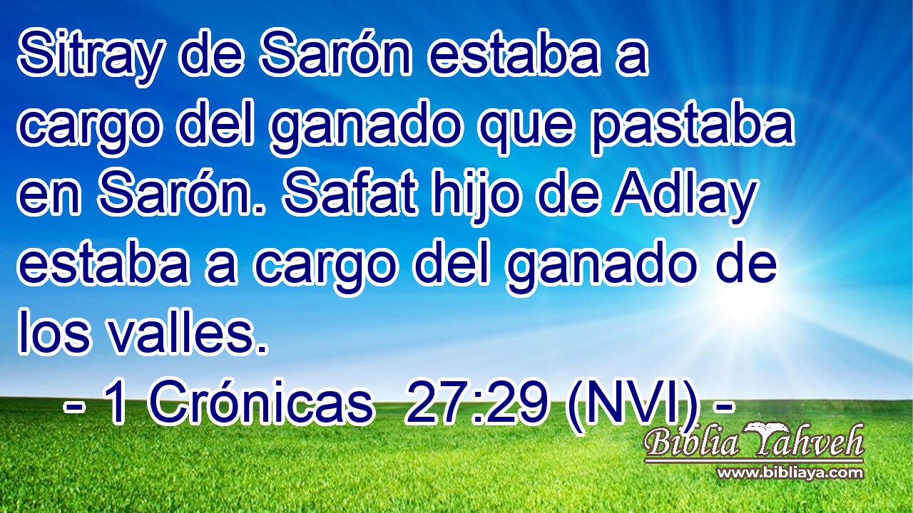  Sitray de Sarón estaba a cargo del ganado que pastaba en Sarón. Safat hijo de Adlay estaba a cargo del ganado de los valles. 