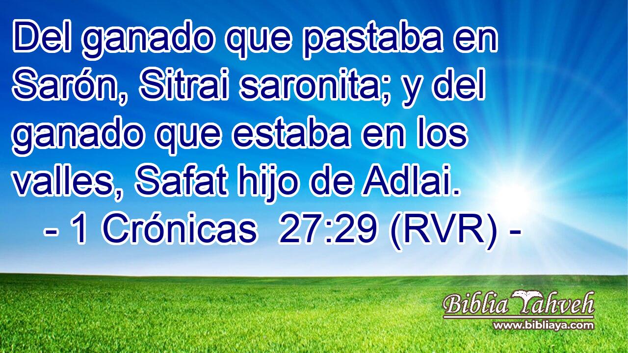 Del ganado que pastaba en Sarón, Sitrai saronita; y del ganado que estaba en los valles, Safat hijo de Adlai.