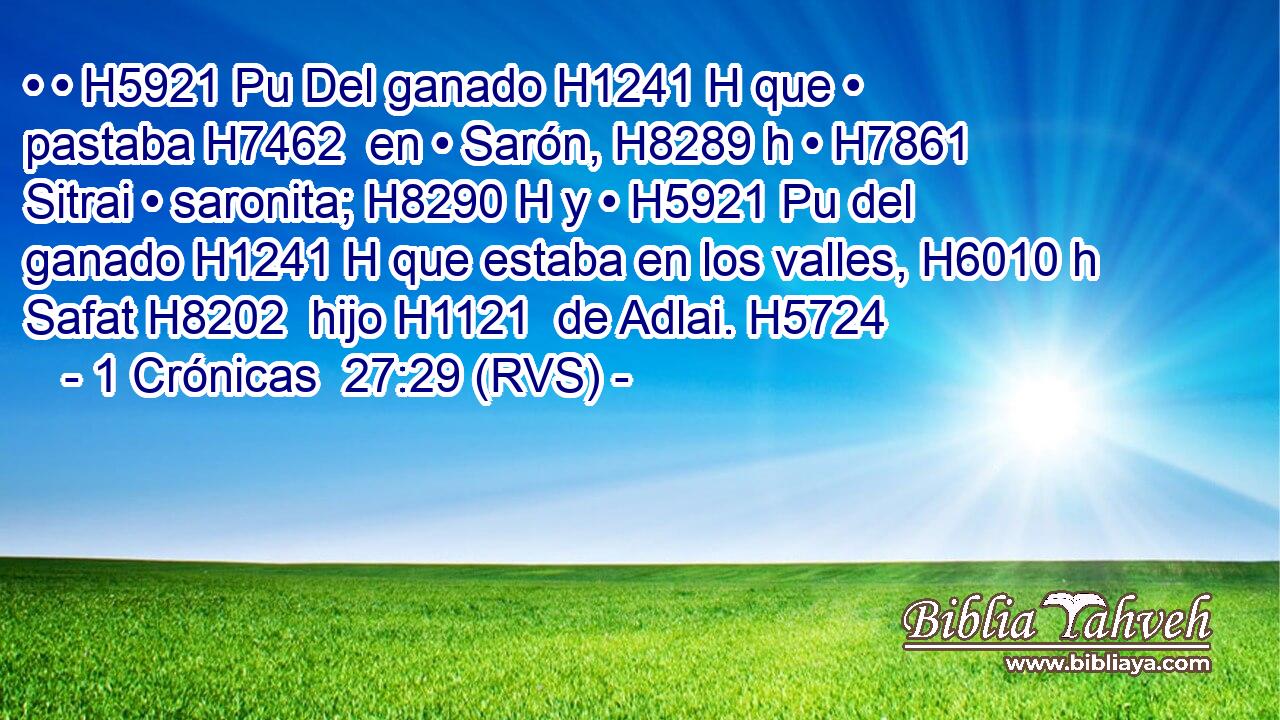 • • H5921 Pu Del ganado H1241 H que • pastaba H7462  en • Sarón, H8289 h • H7861  Sitrai • saronita; H8290 H y • H5921 Pu del ganado H1241 H que estaba en los valles, H6010 h Safat H8202  hijo H1121  de Adlai. H5724  