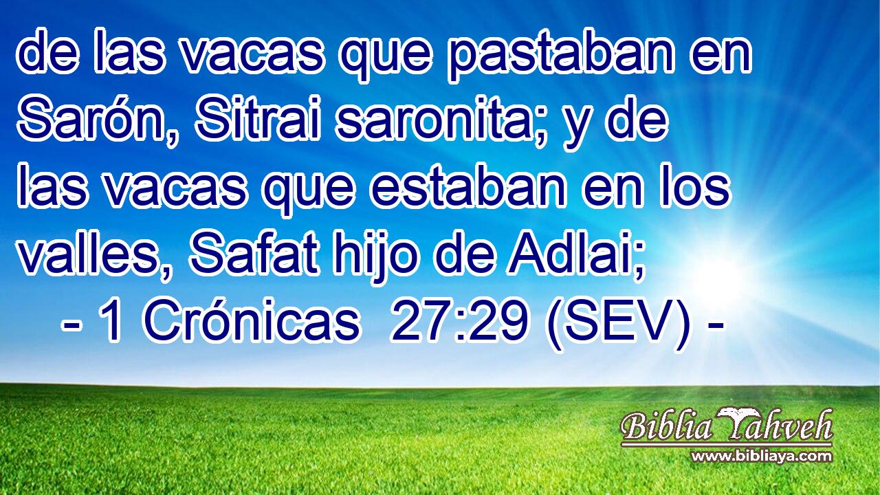 de las vacas que pastaban en Sarón, Sitrai saronita; y de las vacas que estaban en los valles, Safat hijo de Adlai;