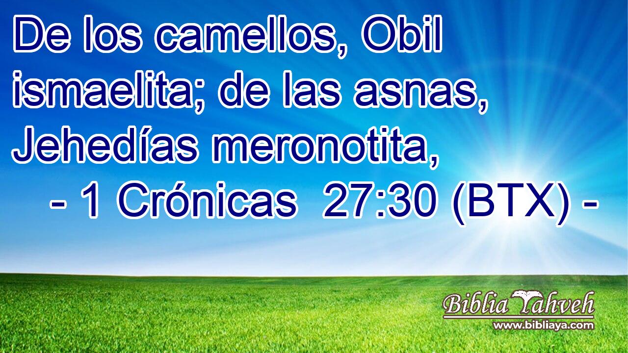 De los camellos, Obil ismaelita; de las asnas, Jehedías meronotita,