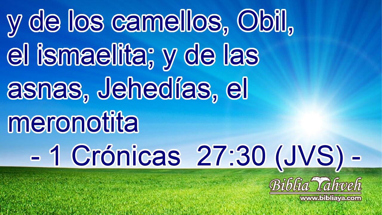y de los camellos, Obil, el ismaelita; y de las asnas, Jehedías, el meronotita