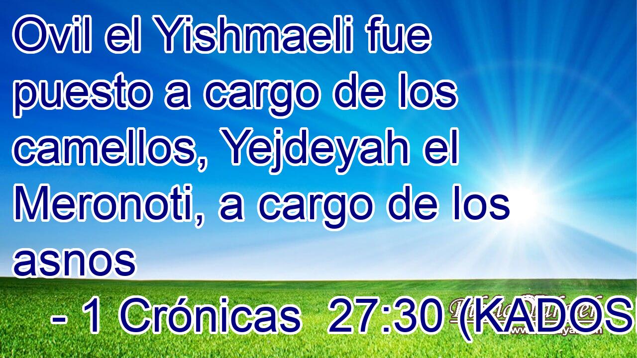  Ovil el Yishmaeli fue puesto a cargo de los camellos, Yejdeyah el Meronoti, a cargo de los asnos 