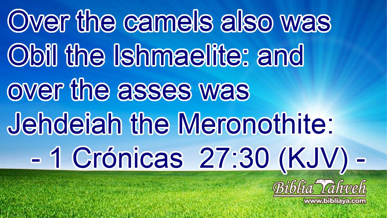 Over the camels also was Obil the Ishmaelite: and over the asses was Jehdeiah the Meronothite: