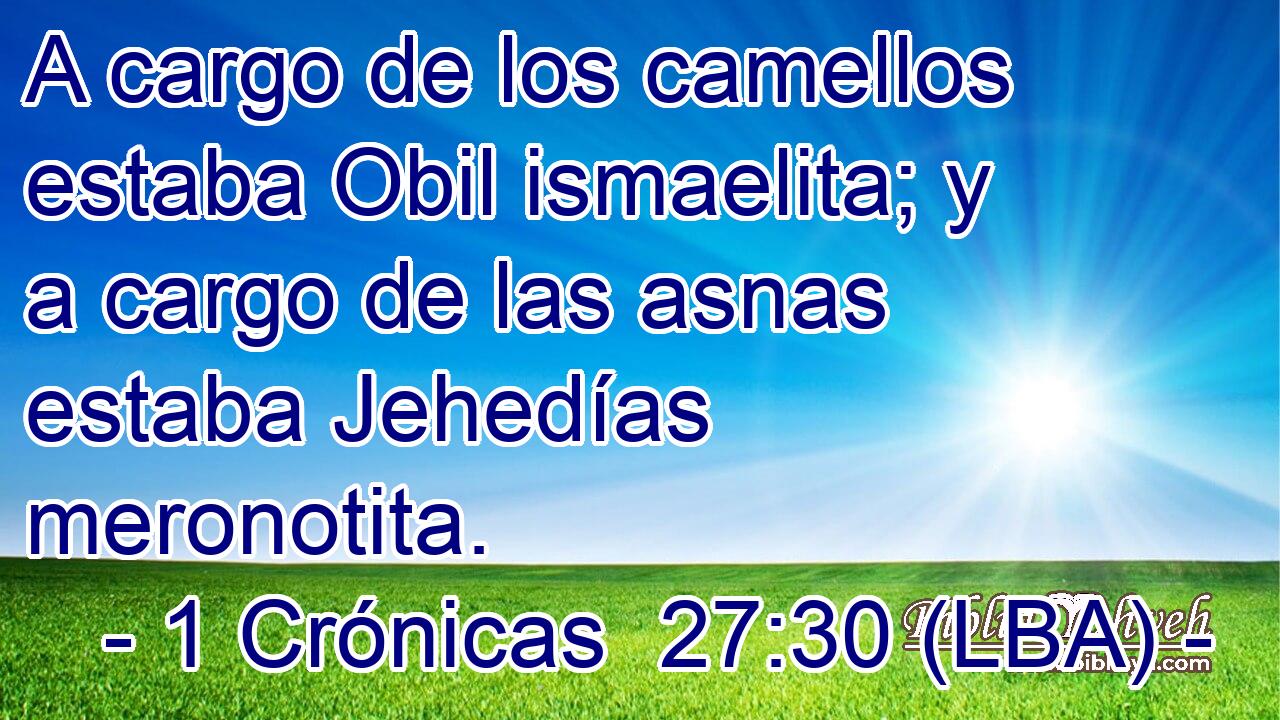 A cargo de los camellos estaba Obil ismaelita; y a cargo de las asnas estaba Jehedías meronotita.