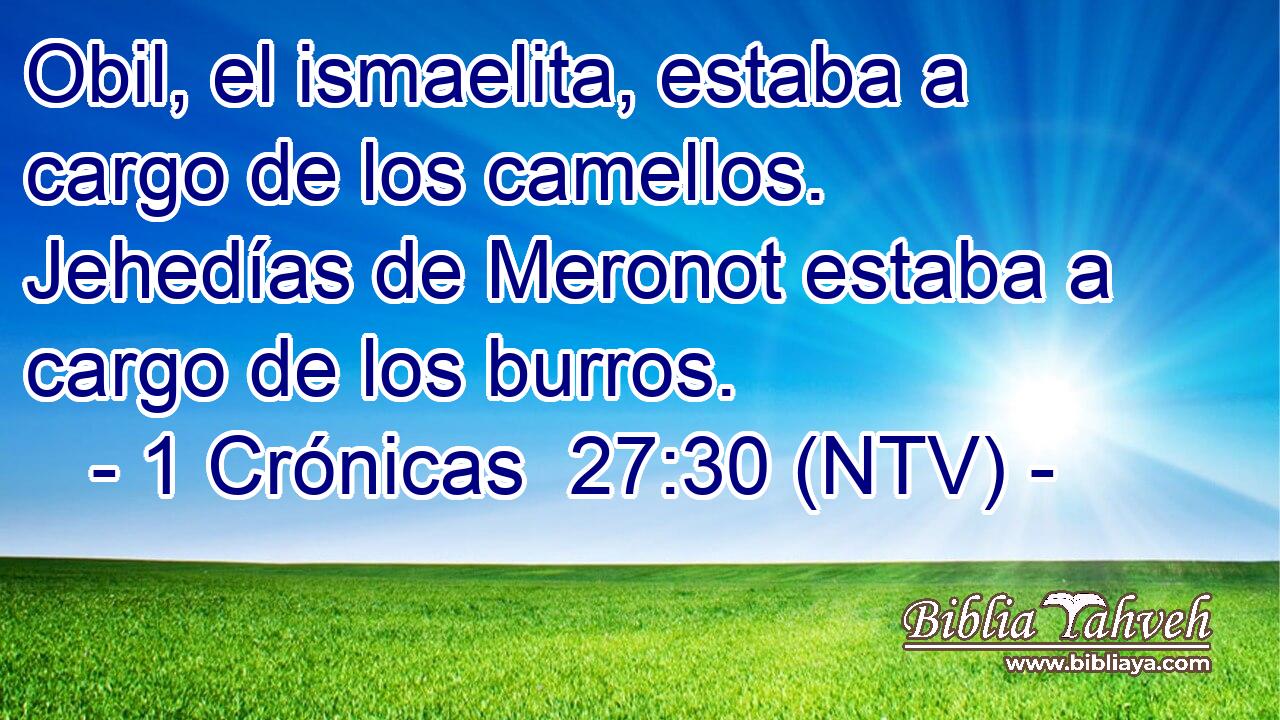 Obil, el ismaelita, estaba a cargo de los camellos. Jehedías de Meronot estaba a cargo de los burros.