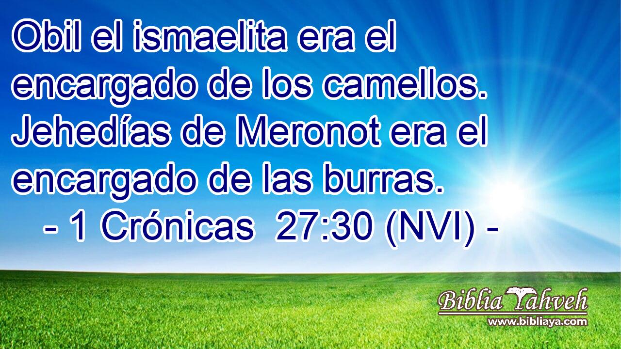  Obil el ismaelita era el encargado de los camellos. Jehedías de Meronot era el encargado de las burras. 