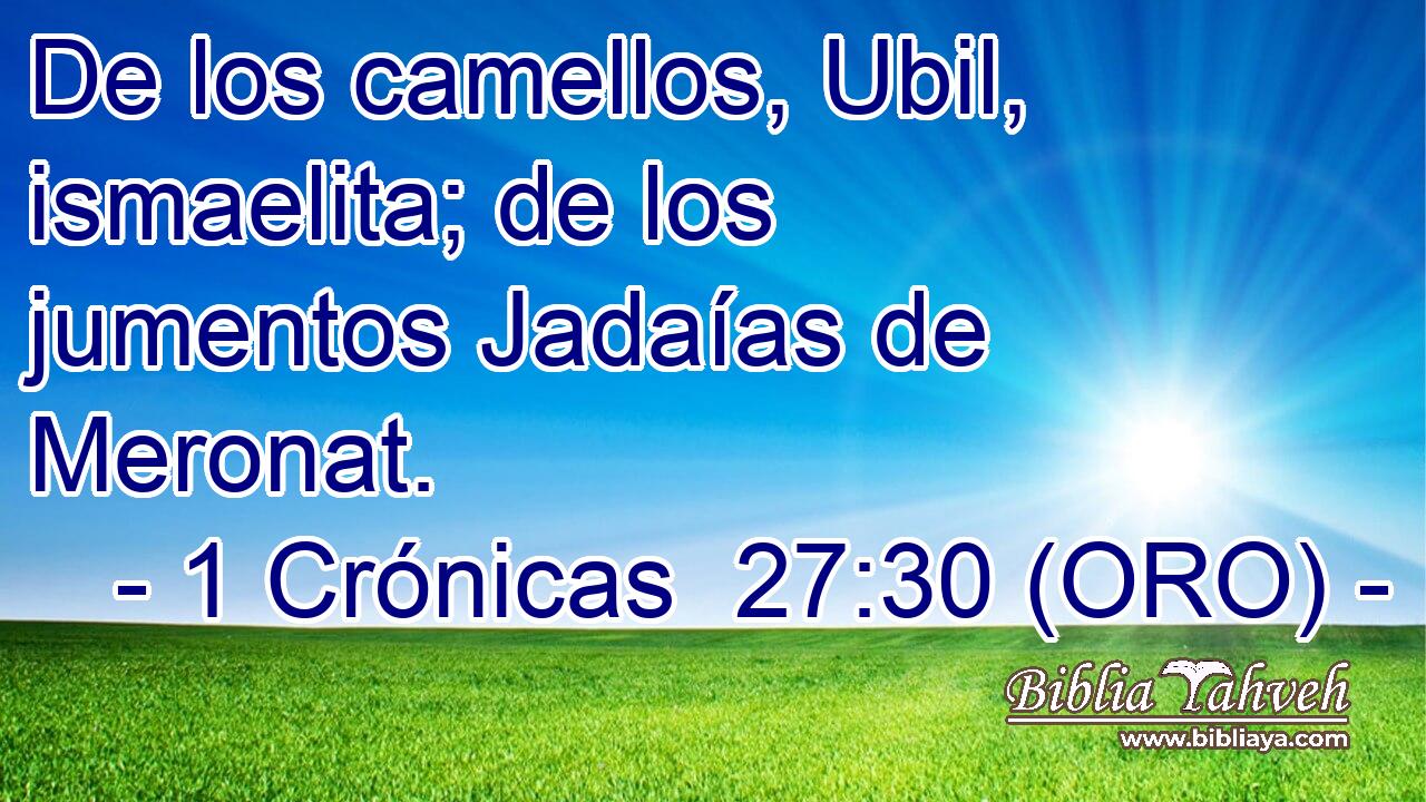  De los camellos, Ubil, ismaelita; de los jumentos Jadaías de Meronat. 