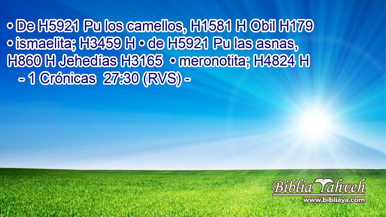 • De H5921 Pu los camellos, H1581 H Obil H179  • ismaelita; H3459 H • de H5921 Pu las asnas, H860 H Jehedías H3165  • meronotita; H4824 H 