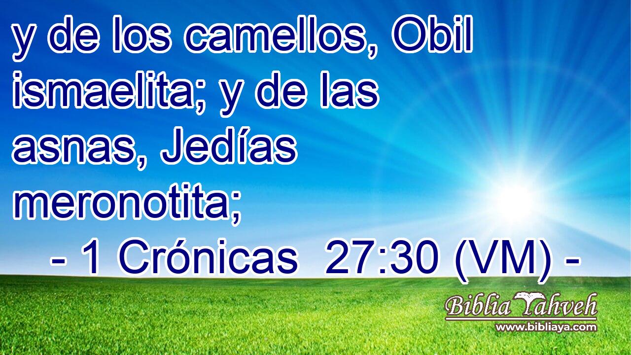  y de los camellos, Obil ismaelita; y de las asnas, Jedías meronotita; 