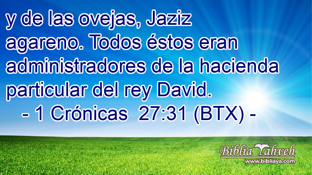 y de las ovejas, Jaziz agareno. Todos éstos eran administradores de la hacienda particular del rey David.